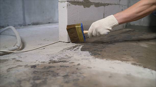 SJ Waterproofing Pros Interior Drainage System coverage map for Jackson, MI and surrounding area